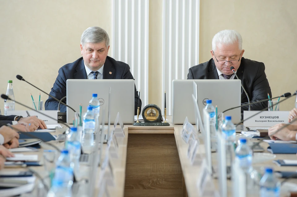 Фото правительства Воронежской области.
