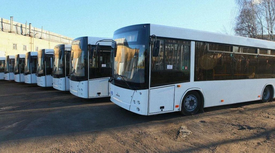 Ежедневно на дороги региона выезжает порядка 260 автобусов.
