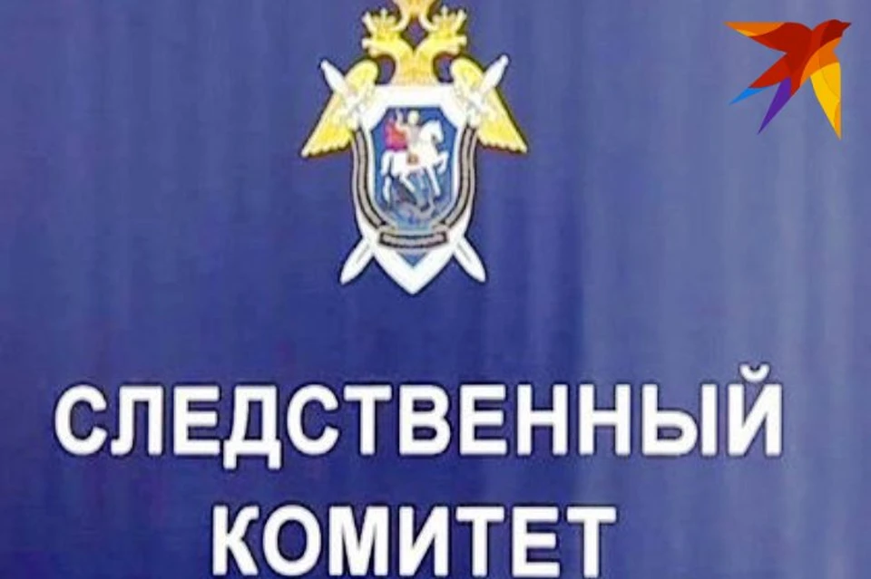 СК проводит проверку