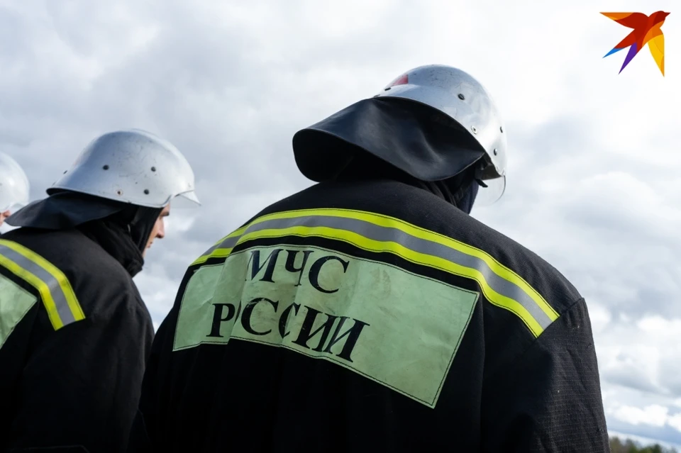 Из-за неисправной электропроводки в Орловской области сгорела иномарка
