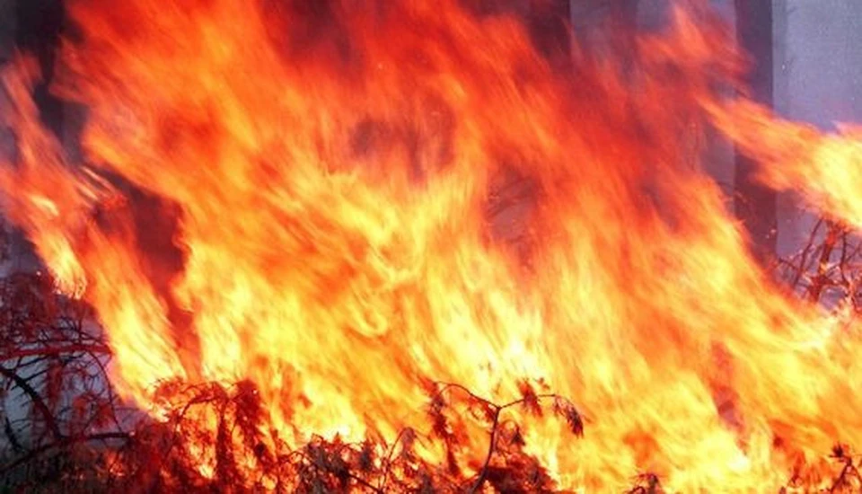 На пожаре в Тульской области сгорел мужчина