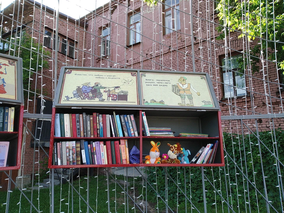 Бесплатный книгообмен во Владимире становится все популярнее