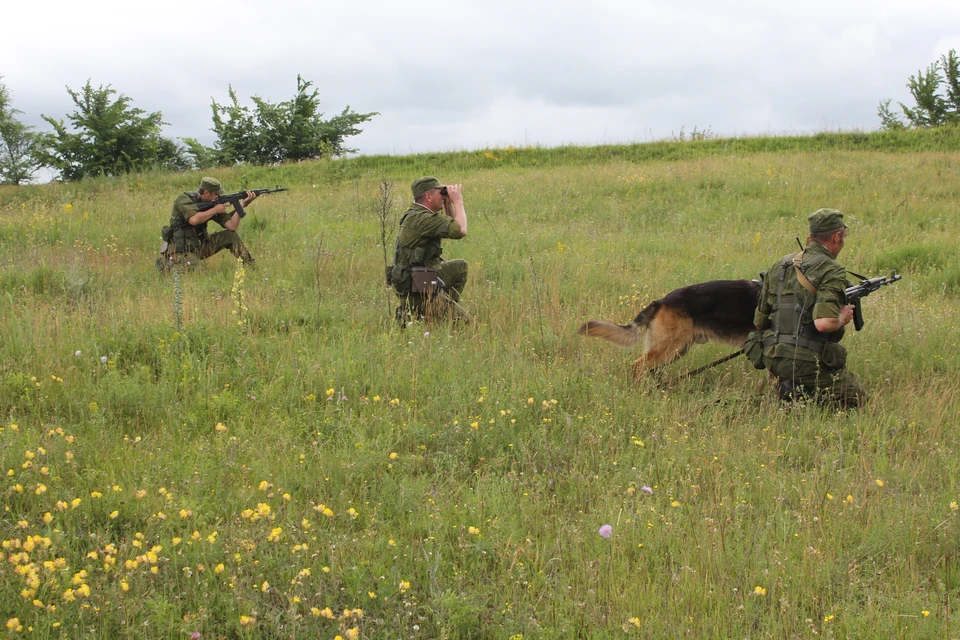 Пограничное управление по белгородской и воронежской областям. Пограничники Белгород.