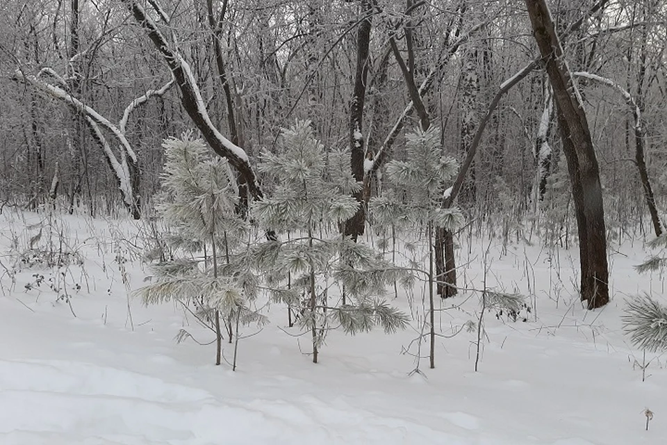 Погода на Ямале 12 февраля: осадки прекратятся