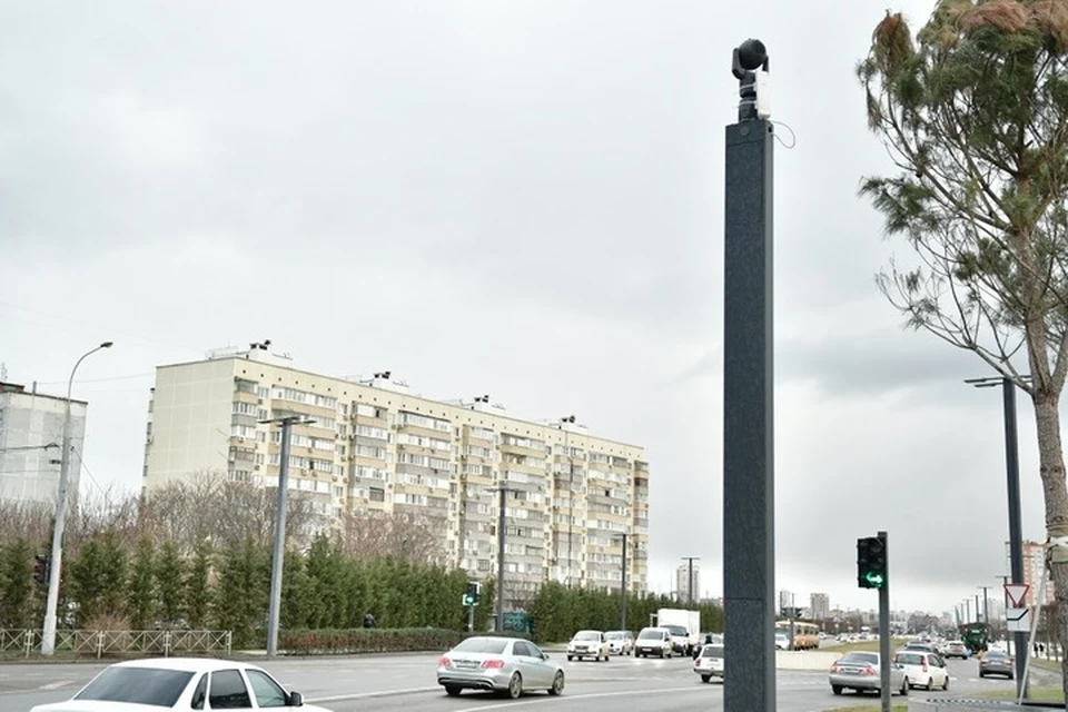Фото: администрация Краснодара