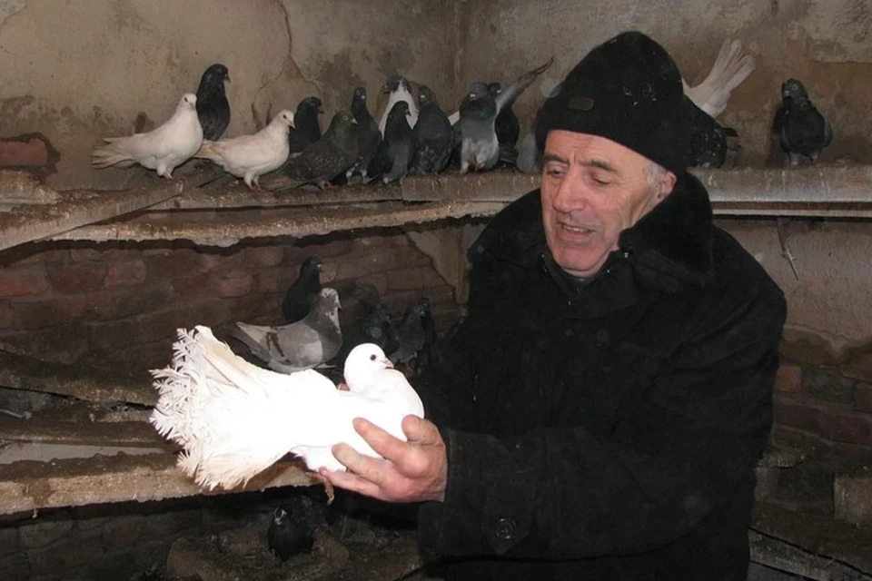 Местный житель Федор Симонов находит отдушину в голубях