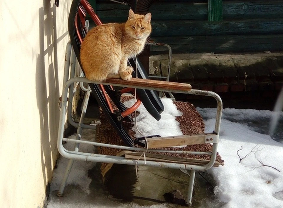 Солнце добавит ощущения настоящей весны