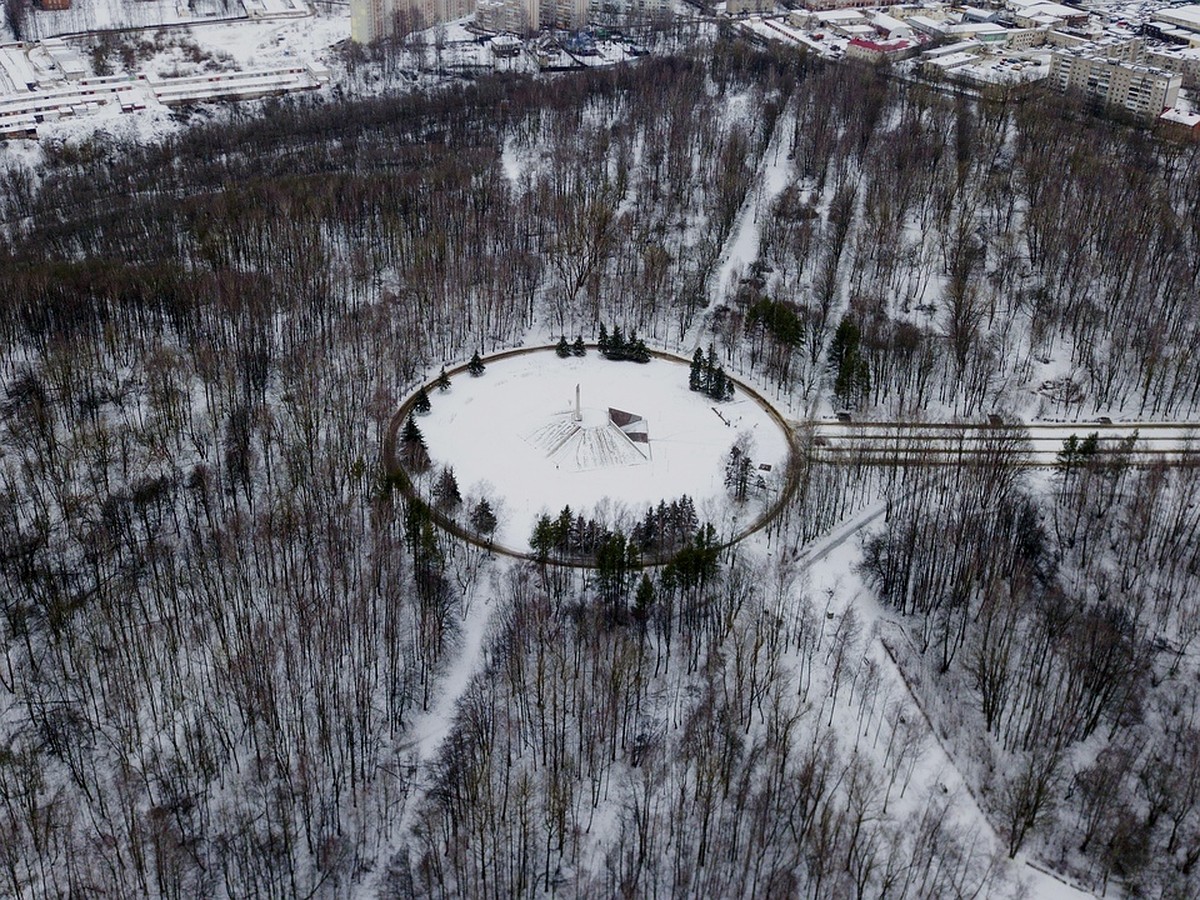 реадовка парк