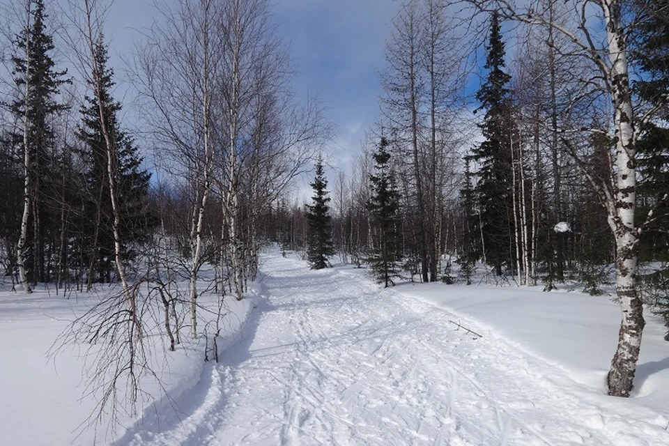 Погода на Ямале 21 февраля: по-прежнему тепло