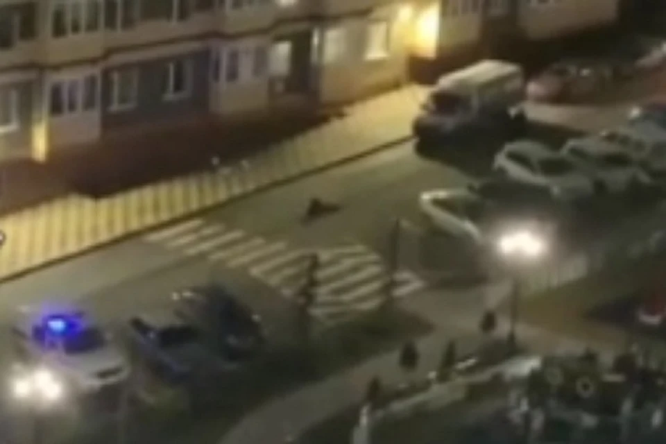 В Ростове мужчина разбился, выпав с 15-го этажа. Фото: соц сети.