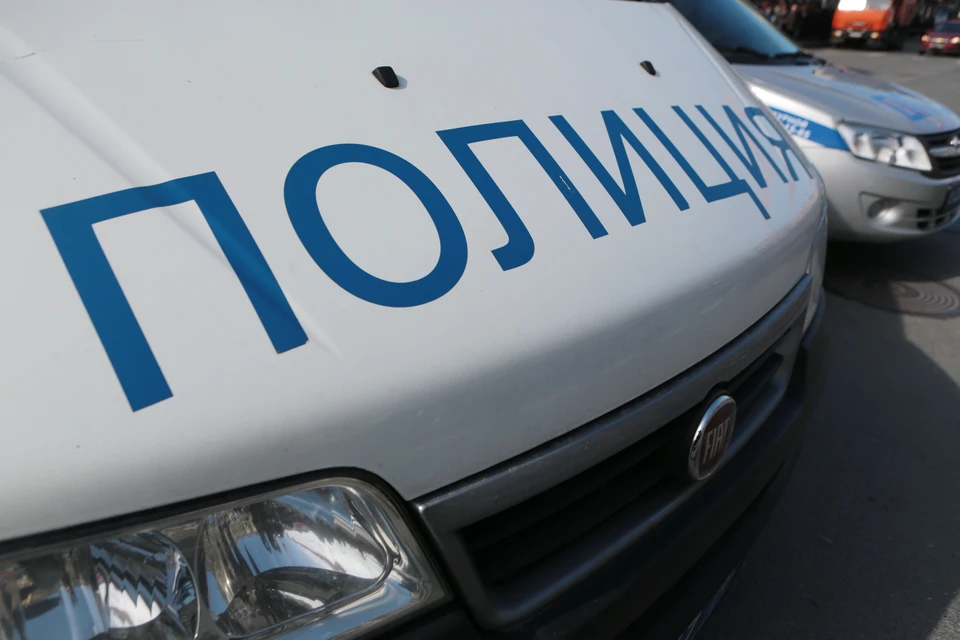Пьяный петербуржец заплатит штраф за дебош в отделении полиции