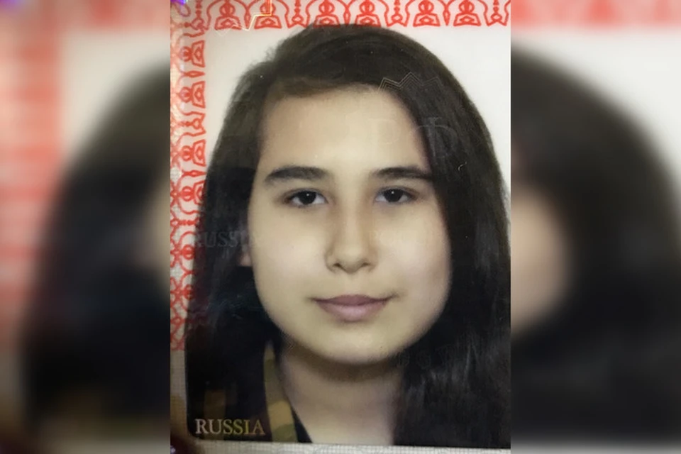 Фото: СУ СК РФ по краю