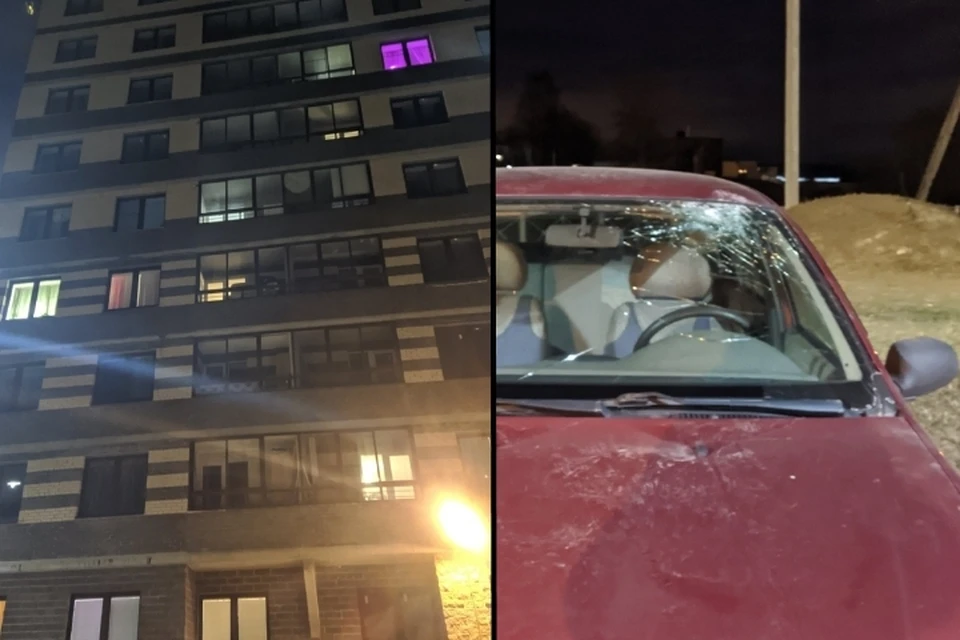 В Мурино местные жители систематически выбрасывают мусор из окон многоэтажек. Фото: vk.com/9kino.live