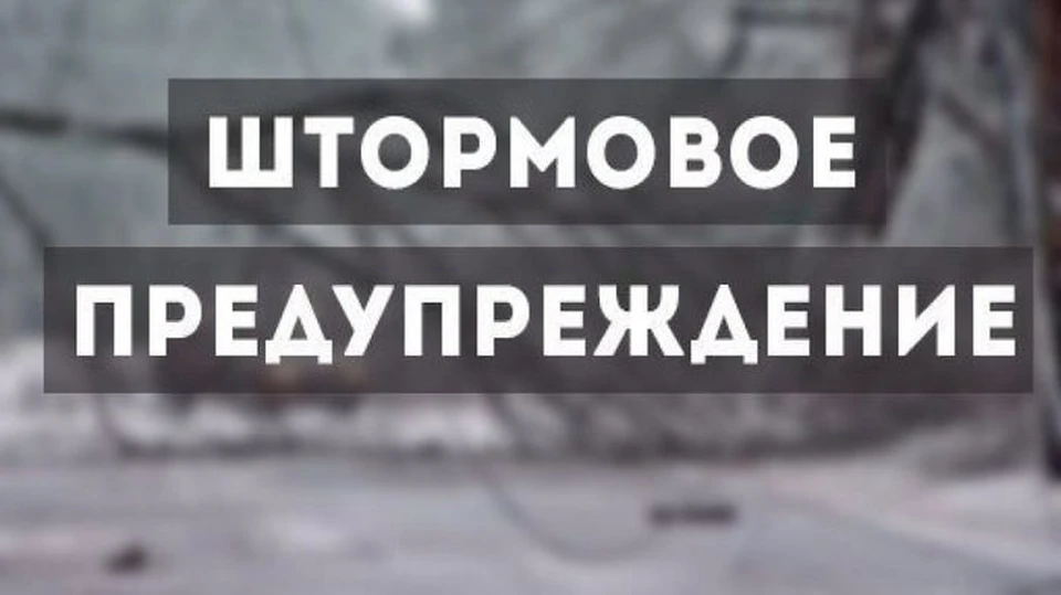 Сильный ветер до 28 м/с обрывал провода и сносил крыши. Фото: МЧС РК