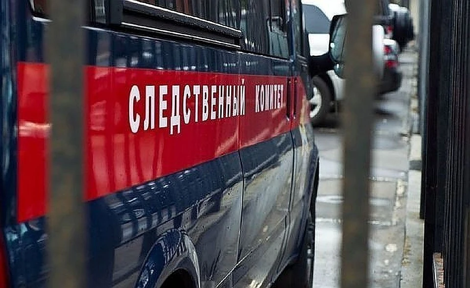 По результатам проверки следователем будет принято процессуальное решение