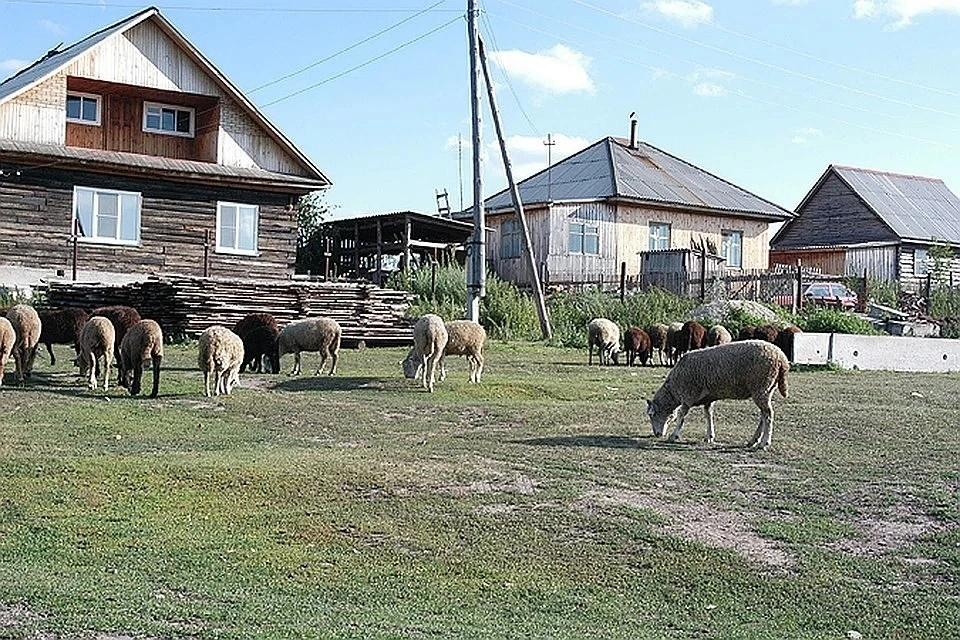 Село можно. Новосибирск деревня. Деревни Новосибирской области. Деревни на территории Новосибирской области. Красивые деревни Новосибирской области.