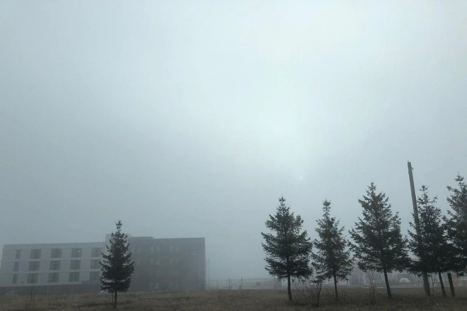 Мурино заволокло туманом.