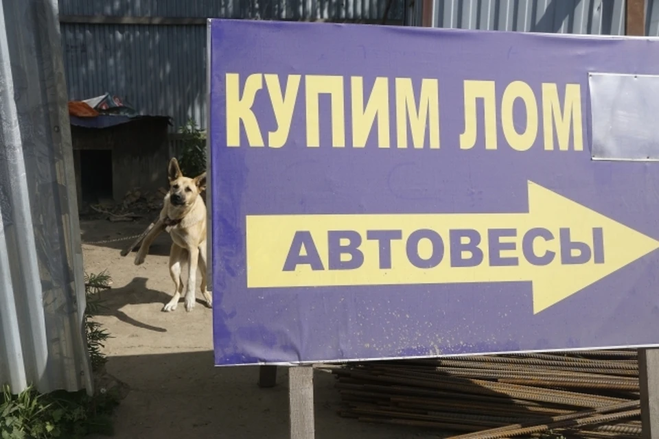 Ущерб от кражи оценили в 75 тысяч рублей. Фото: Архив "КП"