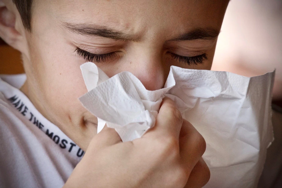 Сейчас амурчане страдают больше от ОРВИ и гриппа, чем от нового вируса. Фото: pixabay.com