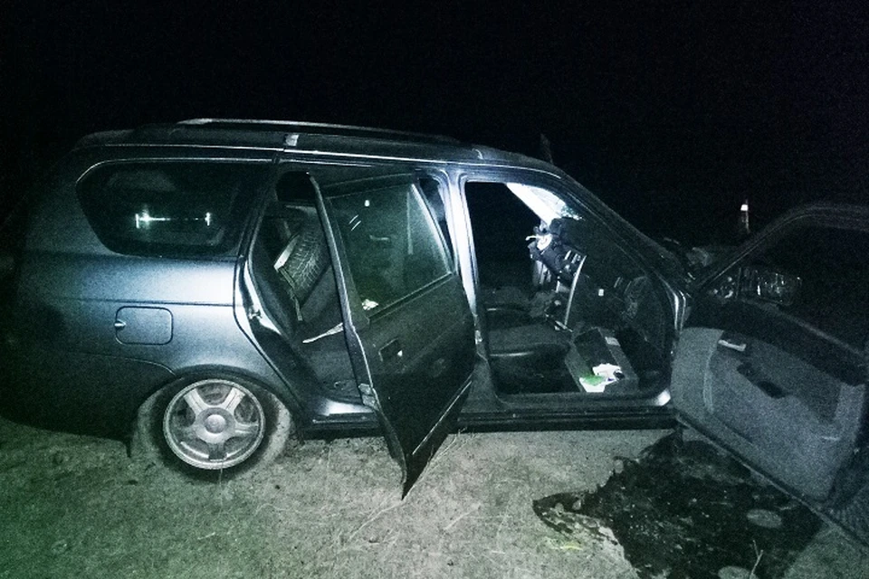 В страшной аварии под Донецком пострадали пять человек. Фото: Госавтоинспекция Республики