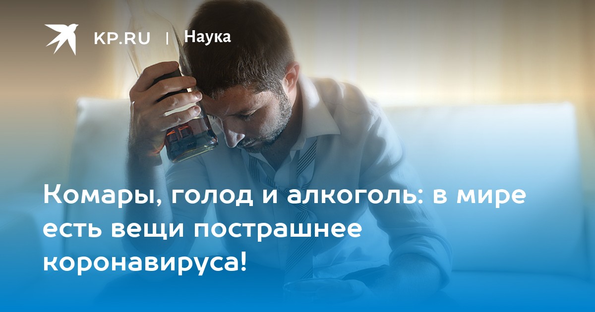 www.kp.ru