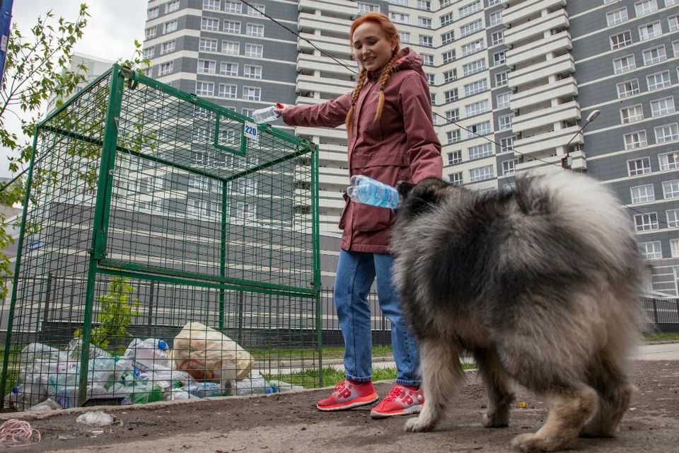 Вполне возможно, что контейнеры для раздельного сбора мусора в Кирове появятся раньше запланированной даты.