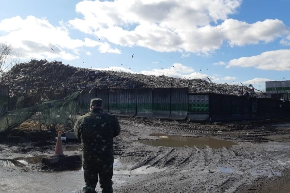 В Янино следователи проверяют мусороперерабатывающий завод после жалоб местных жителей. Фото: lenobl.sledcom.ru