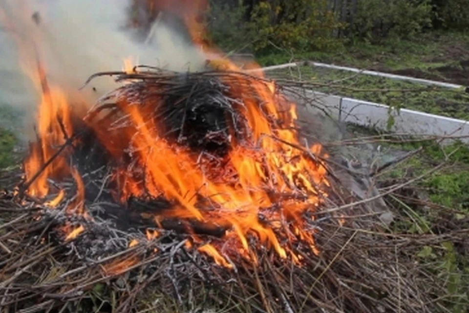 Курянам советуют пока не жечь сухостой