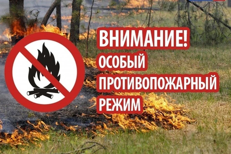 В период введения особого противопожарного режима запрещено разведение костров