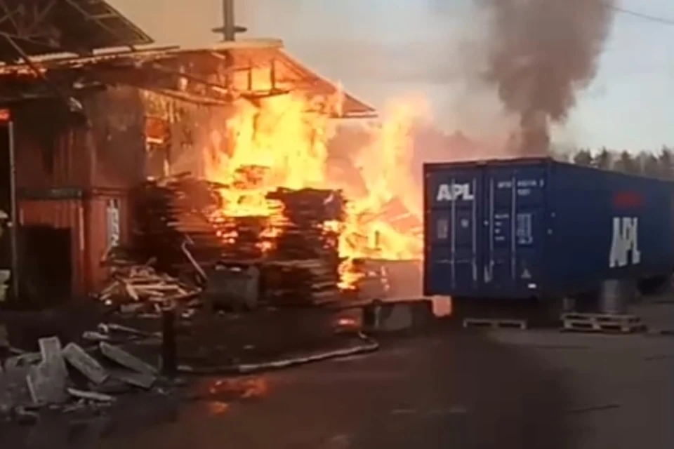 В Петербурге горят ангары в поселке Мартышкино на площади 1600 квадратных метров. Фото: vk.com/welomonosovs