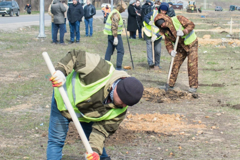 В Ростове озеленят берег реки Темерник. Фото: пресс-служба правительства Ростовской области