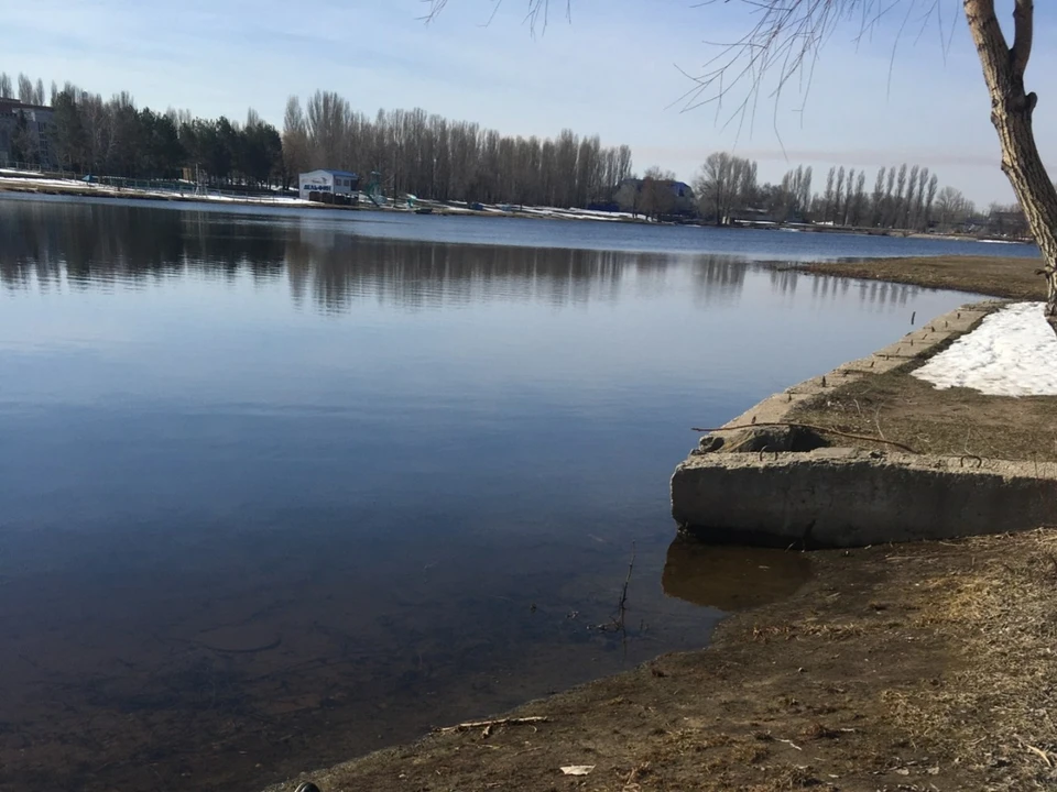 Тело было найдено в водоеме около дома по улице Менделеева. Фото СУ СКР по Саратовской области