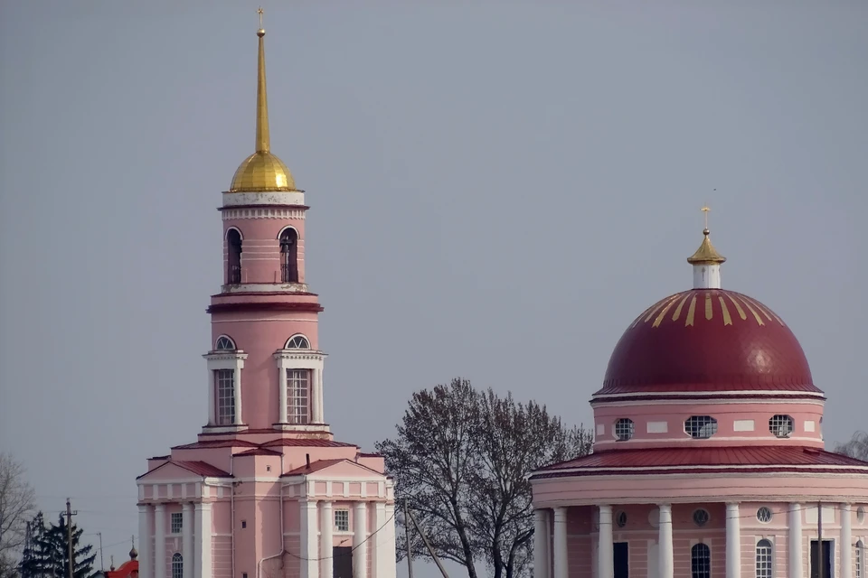 Липчан попросили воздержаться от посещения храмов