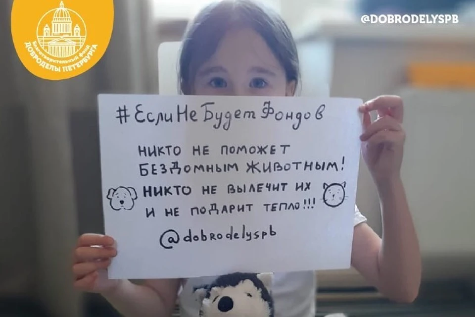 Благотворительные фонды нуждаются в помощи. Фото: "Доброделы Петербурга".