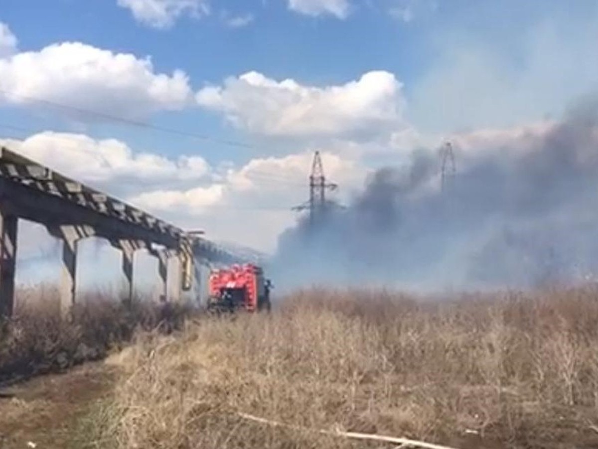 В Солнечном полыхает крупный природный пожар - KP.RU