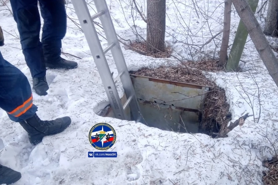 Вызволять собаку из западни пришлось спасателям. Фото: «Спасатели МАСС».