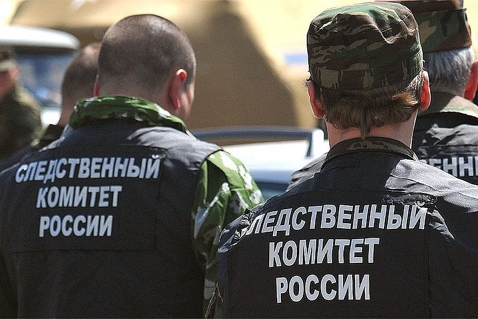 Проводится доследственная проверка