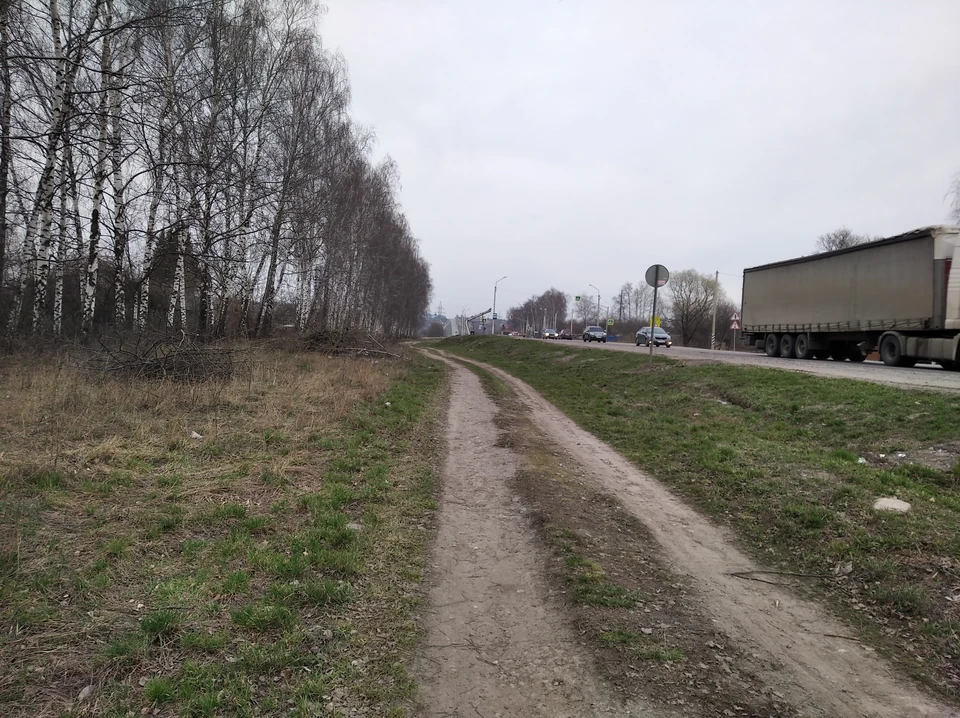 В Курской области акцент сделали на дороги