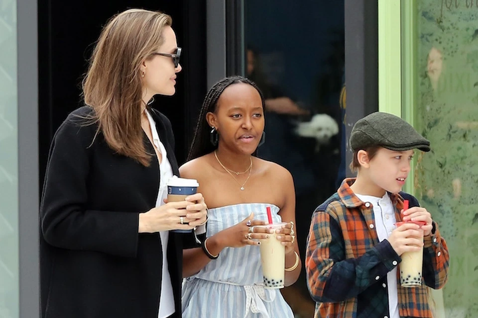 Анджелина и Джоли договорились отдать детей в обычную школу.