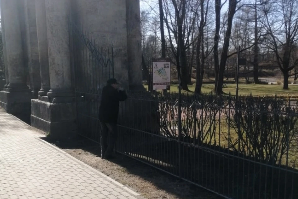 В Гатчине заметили тоскующего пенсионера, который хотел попасть в закрытый парк. Фото: vk.com/gtnstory