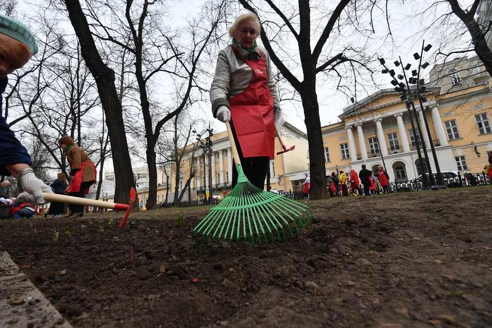 Массовые субботники весны 2020 года в Москве отменены.