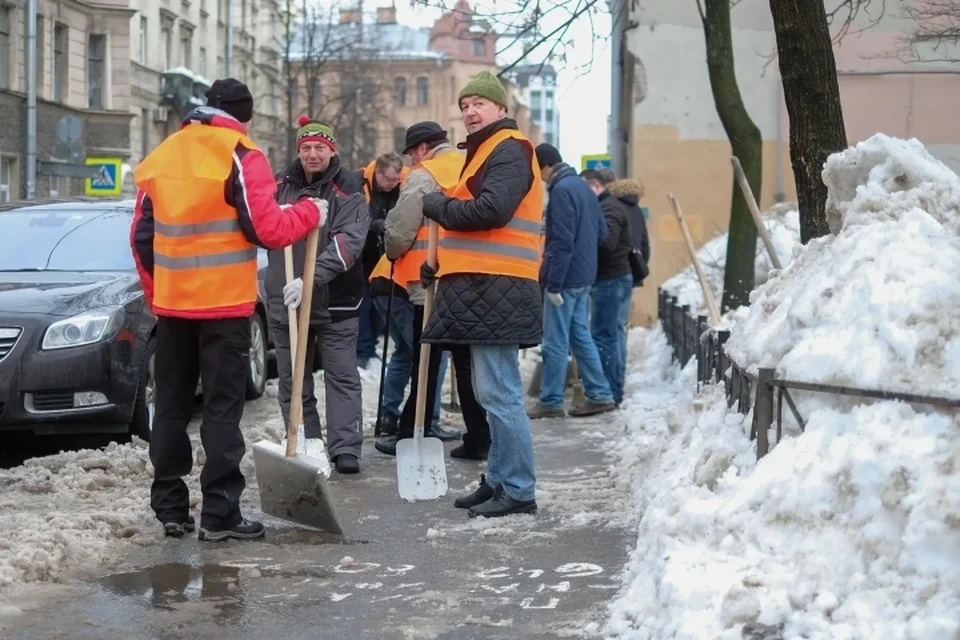 в петербурге потратят. концерт на дворцовой площади. новогодняя елка петербург. уборка улиц. в петербурге потратят.