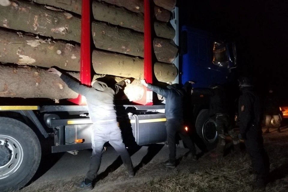 Подозреваемых задержали ночью при перевозке украденных бревен. Фото: МВД.