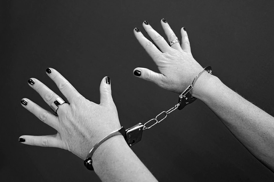 В Лабытнанги пьяная женщина избила полицейского Фото: pixabay.com