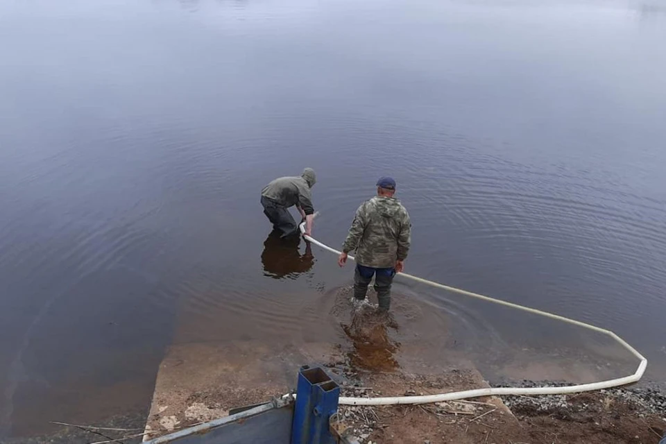 Остров гороховое озеро