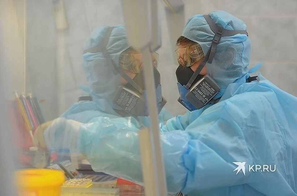 в уральской лаборатории обкатывают тесты на коронавирус