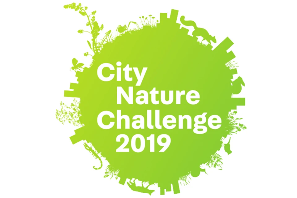 Ученые СевГу вошли в топ 10 City Nature Challenge. Фото: sevsu.ru