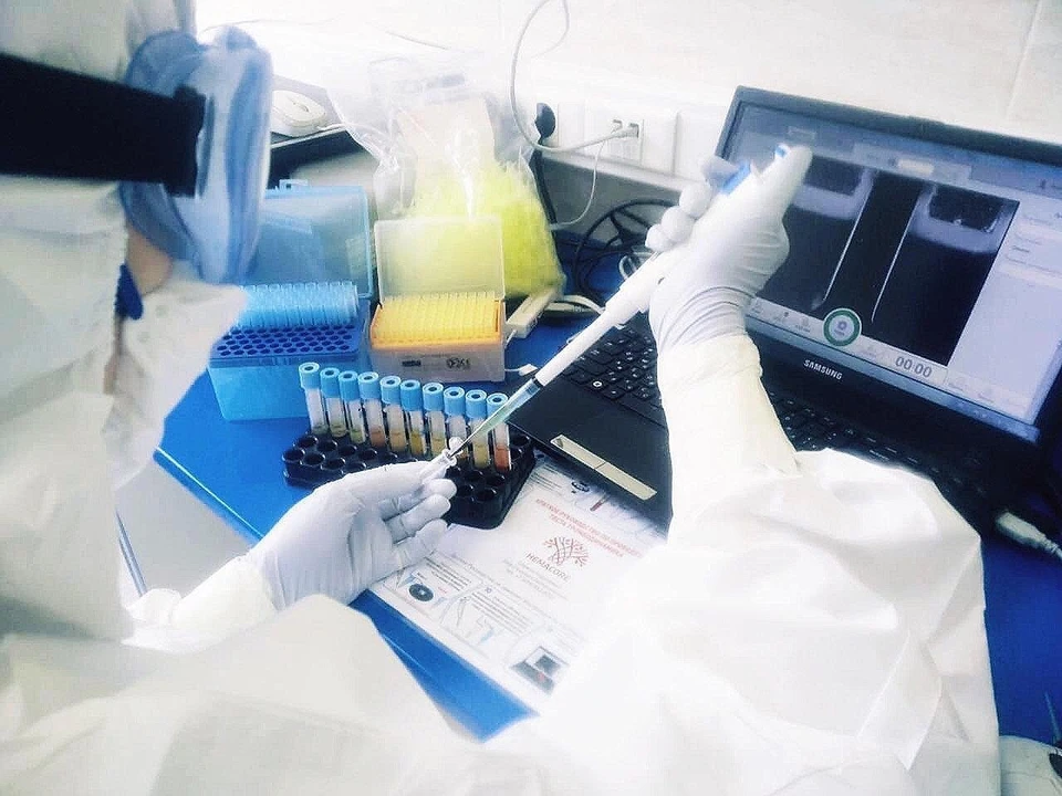 Добровольцы проводят диагностические исследования гемостаза на одной из клинических площадок. Автор фото: Компания «ГемаКор»