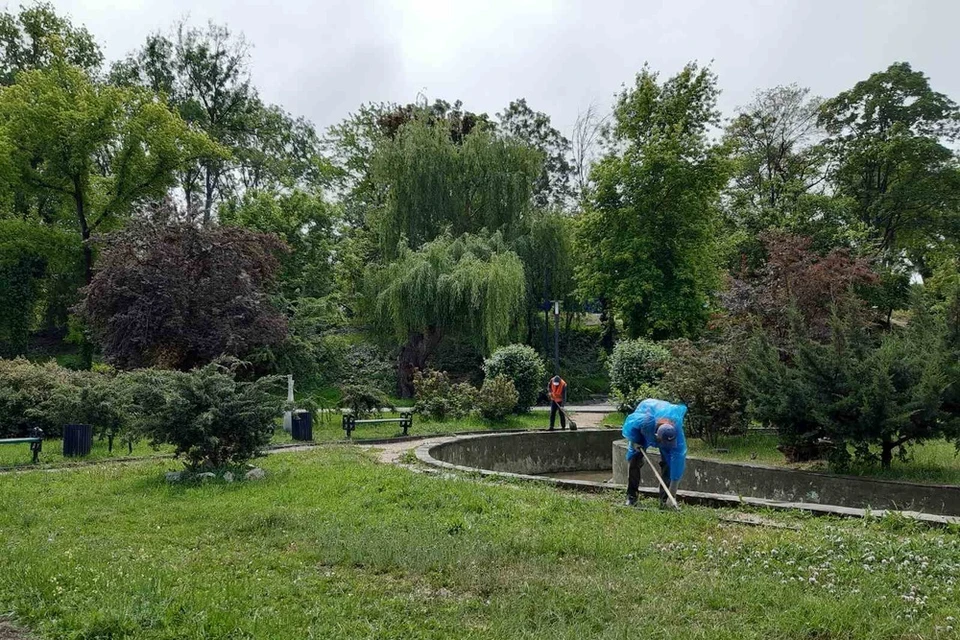 После очищения в пруды посадят кувшинки. Фото: официальный сайт Администрации города Симферополь.