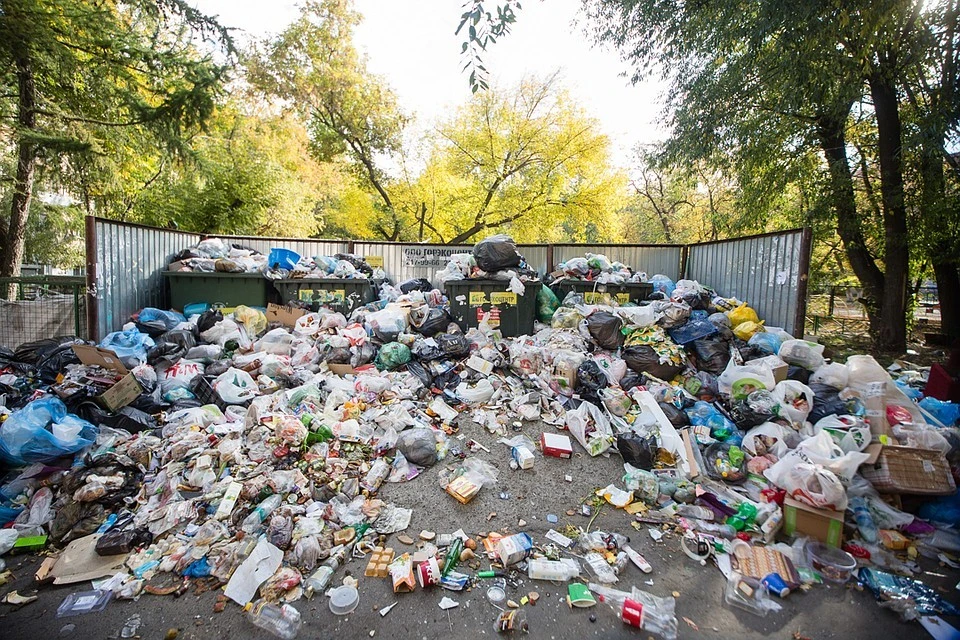 Администрацию Старицы Тверской области обязали оборудовать места для сбора мусора